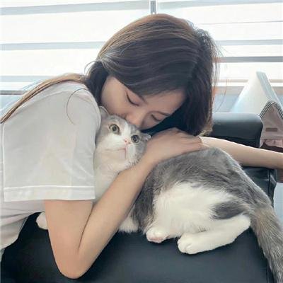 破晓之翼