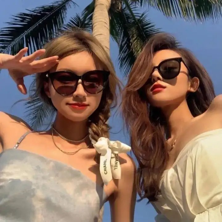 海龟故事